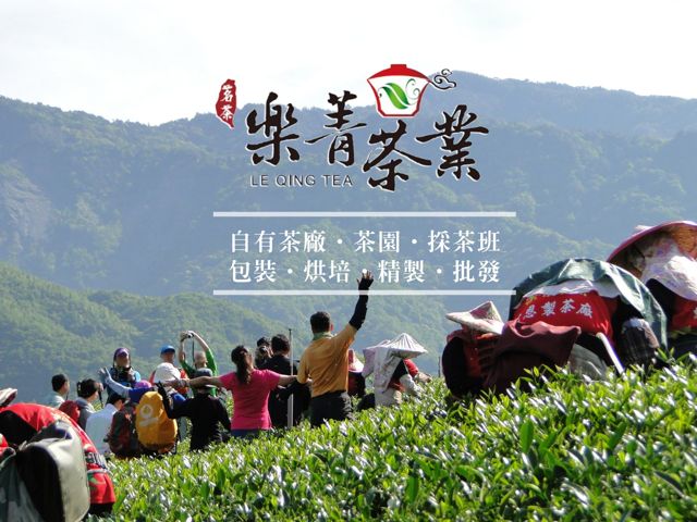 樂菁茶業-台灣茶葉批發