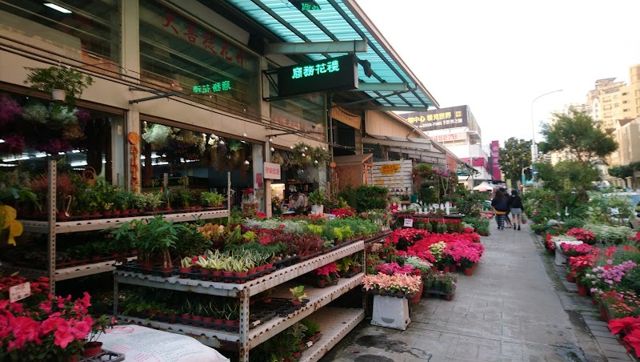 台中花市&花卉拍賣市場