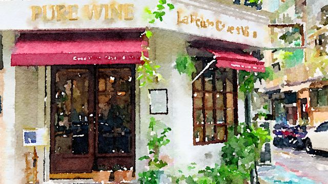 PURE WINE Cave