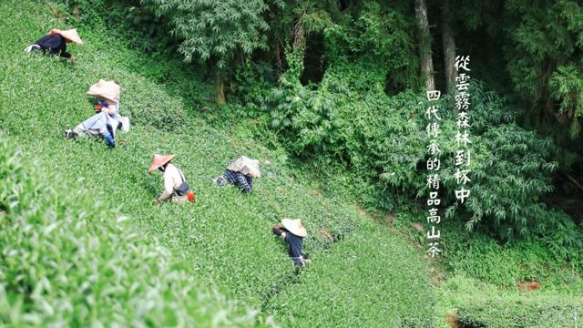 義泰茶莊