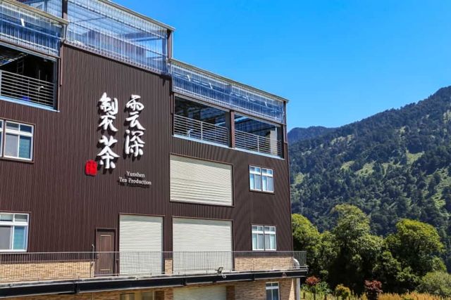 高覺茶｜台灣頂級高山茶葉
